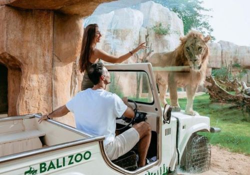 Bali Zoo Admission